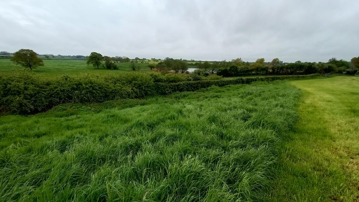 Belton and Blackoe