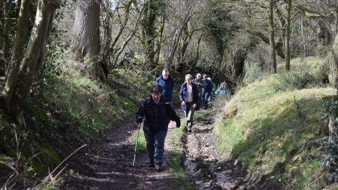 Fairy Glen