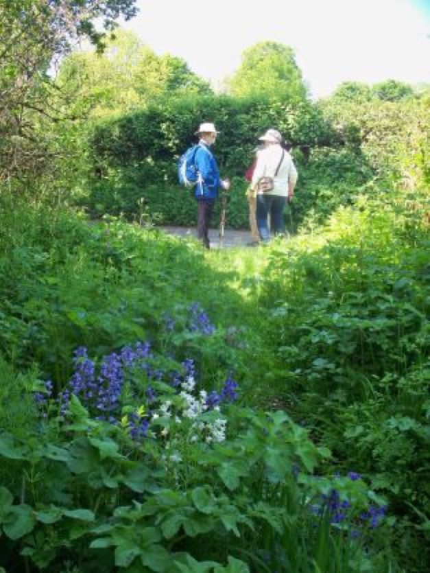 Higher Heath