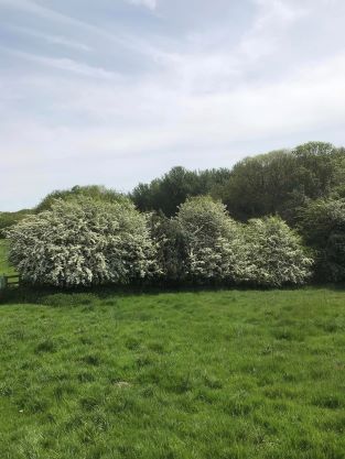 Wirswall